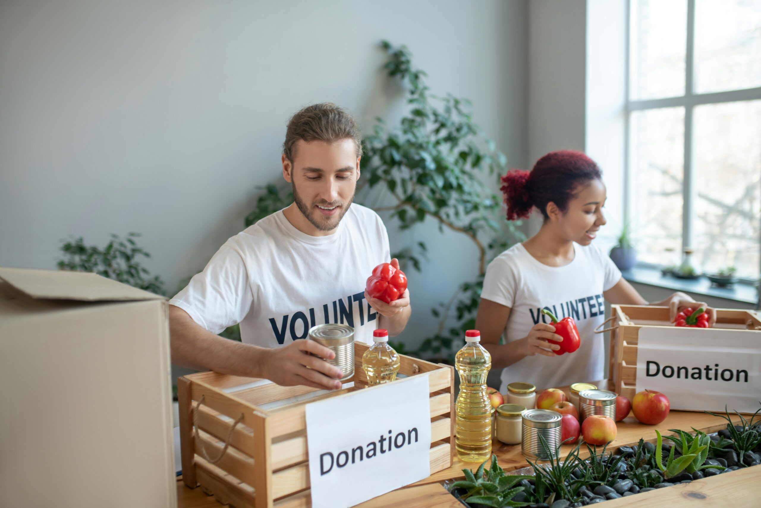 Dr. Ann Marie Egloff-Philanthropic Organization