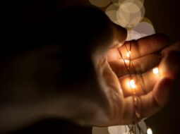 Lighting the Spark of Giving Your Practical Guide to a Purpose-Driven Philanthropic Journey
